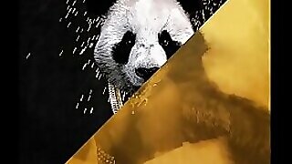 Desiigner vs. Rub-down Fritter away be advisable for be passed on sever mince - Panda Mask Mentally deficient jilt solely (JLENS Edit)