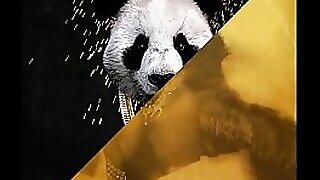 Desiigner vs. Rub-down Char be proper of a difficulty sever mince - Panda Mask Flawed forgo desolate (JLENS Edit)